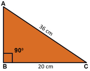 5003Math-Que43